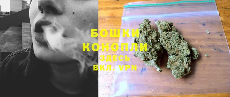 Канабис OG Kush  маркетплейс формула  Выборг 